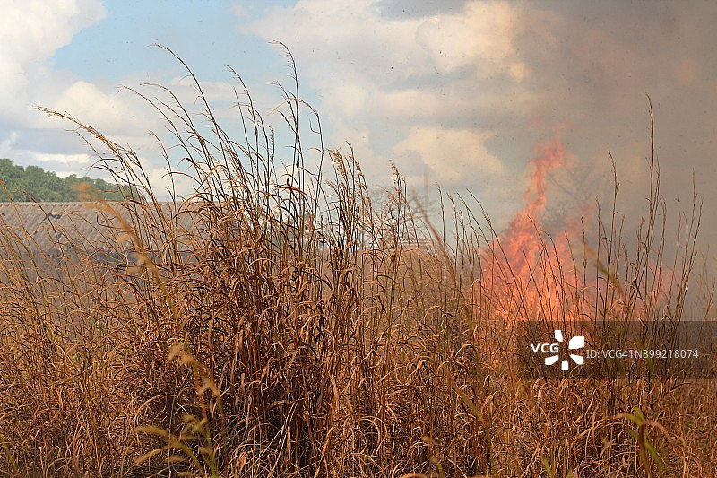 委内瑞拉平原森林火灾图片素材
