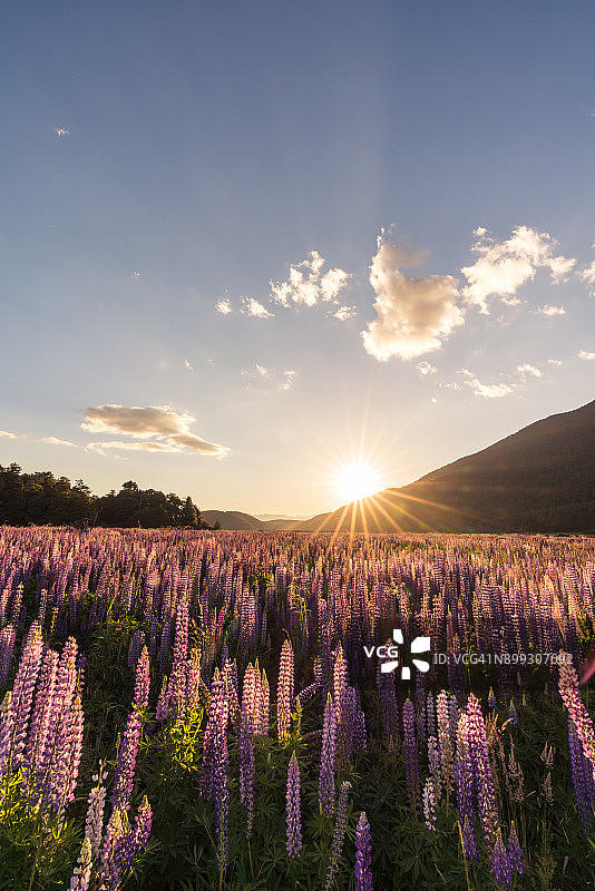 新西兰峡湾国家公园图片素材