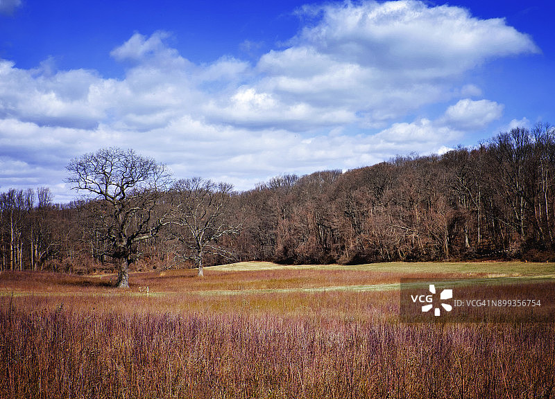 冬季的科姆塞特州立公园图片素材