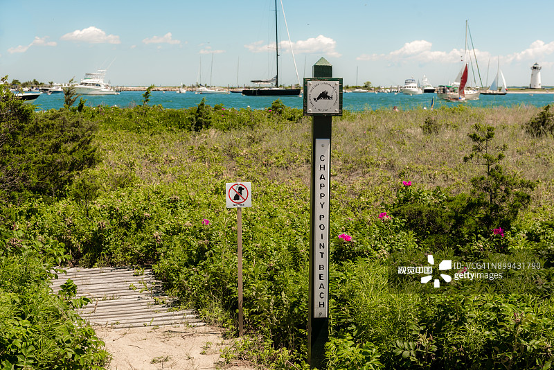 Chappy Point Beach禁止带狗图片素材