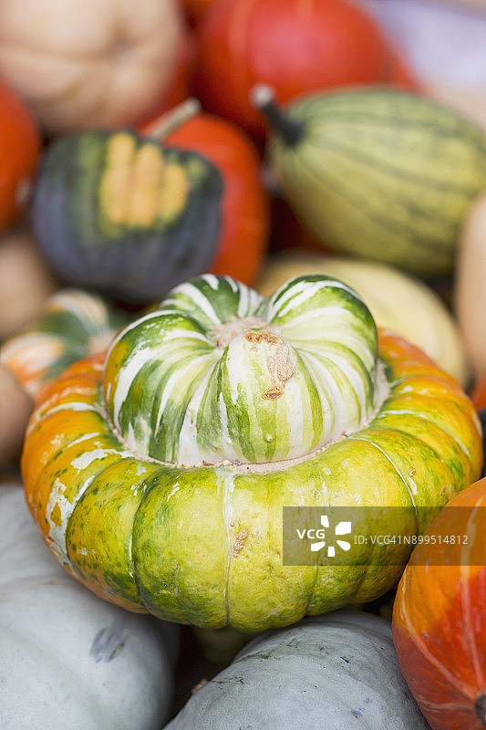 各种南瓜中的土耳其头巾南瓜图片素材