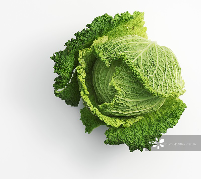 皱叶甘蓝图片素材