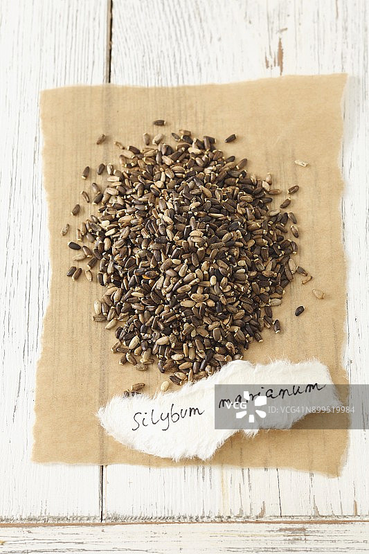 水飞蓟籽图片素材