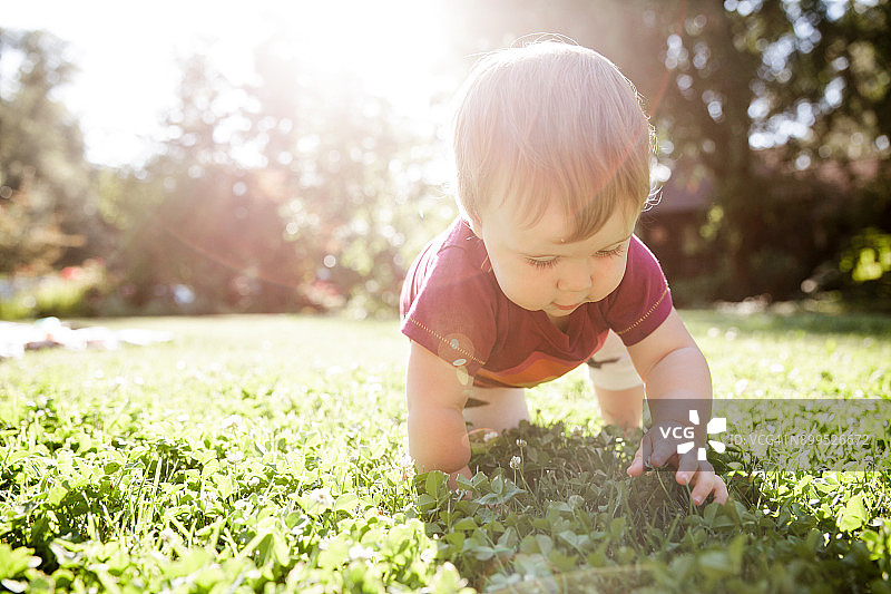 男宝宝在草地上爬行图片素材