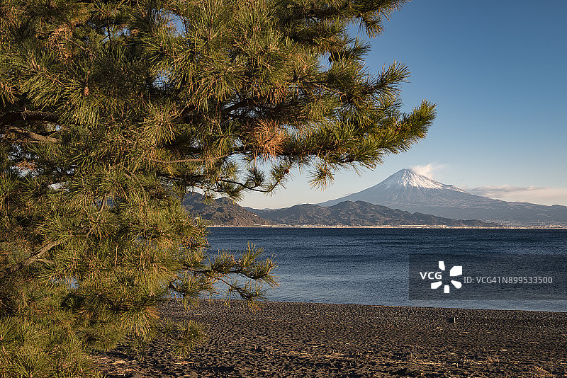 富士山与三保松原图片素材