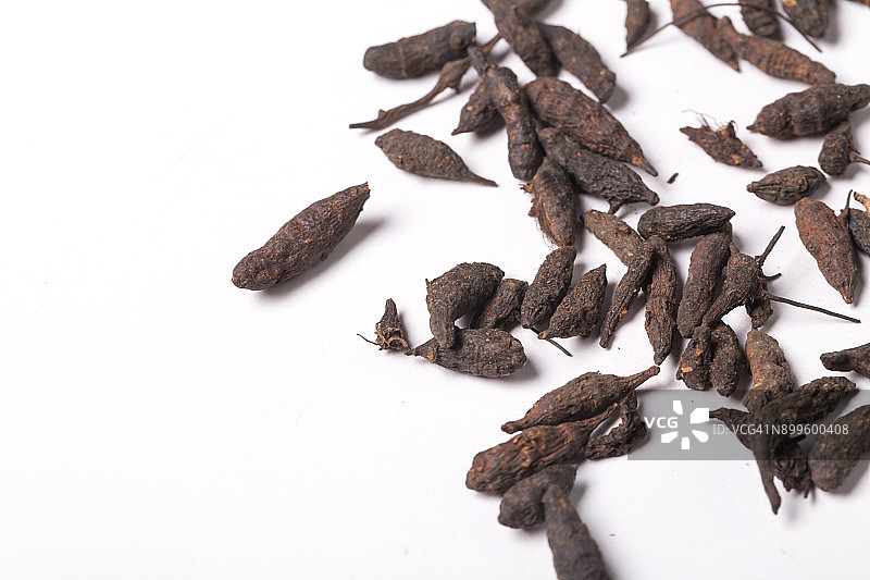 中药材：香附摄影棚拍摄图片素材