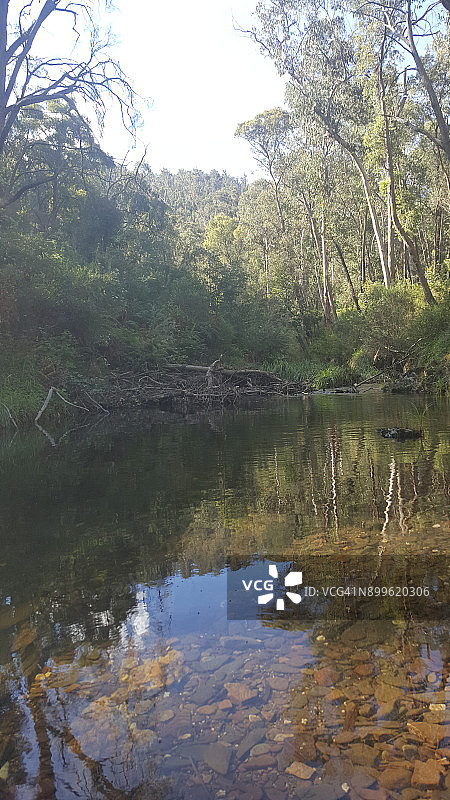 澳大利亚维多利亚州吉普斯兰阿伯费尔迪河图片素材