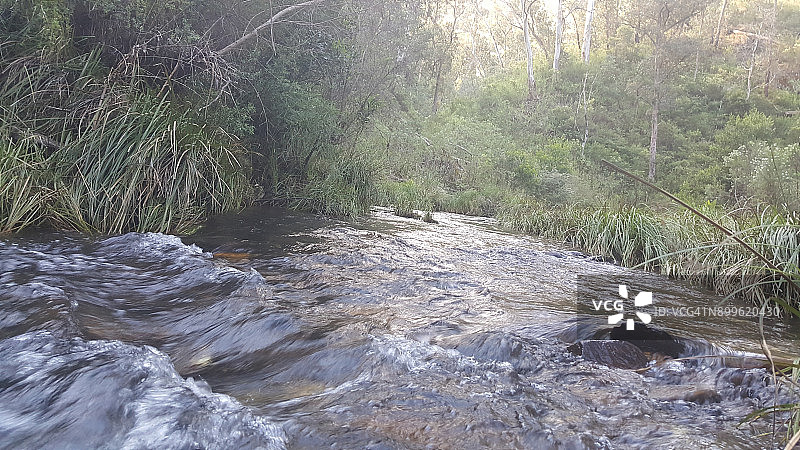 澳大利亚维多利亚州吉普斯兰阿伯费尔迪河图片素材