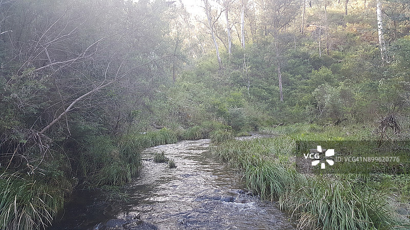 澳大利亚维多利亚州吉普斯兰阿伯费尔迪河图片素材
