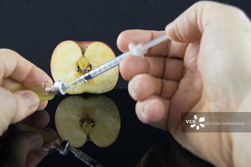 越来越多的人使用手机查找苹果基因实验图片素材