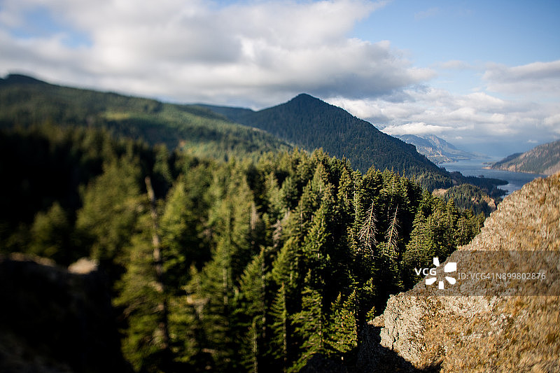 太平洋西北森林倾斜移位图片素材