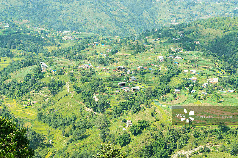绿色梯田 - 尼泊尔纳加阔特图片素材