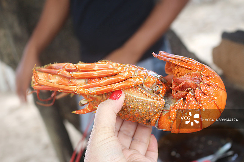 新鲜龙虾，来自海洋的美味图片素材