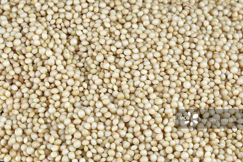 苋菜籽的完整画面图片素材