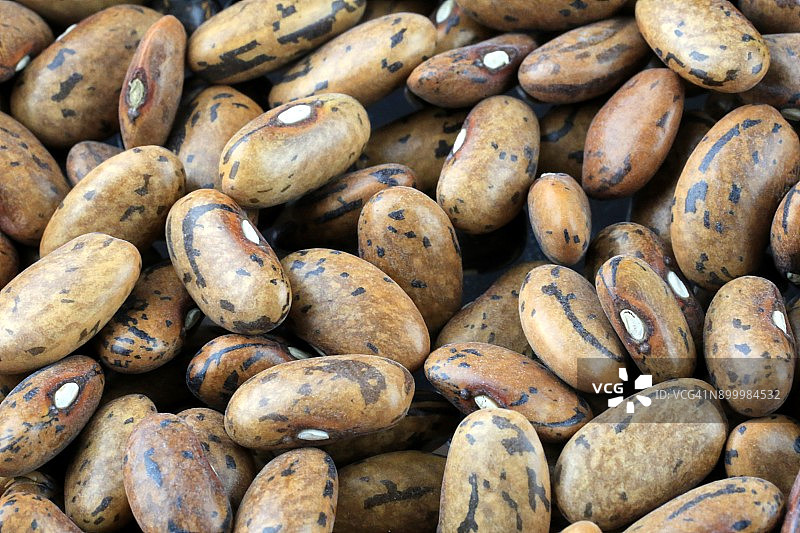 未煮的响尾蛇豆（菜豆）图片素材