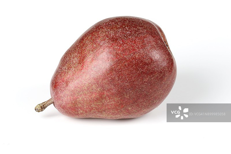 梨（梨属）图片素材