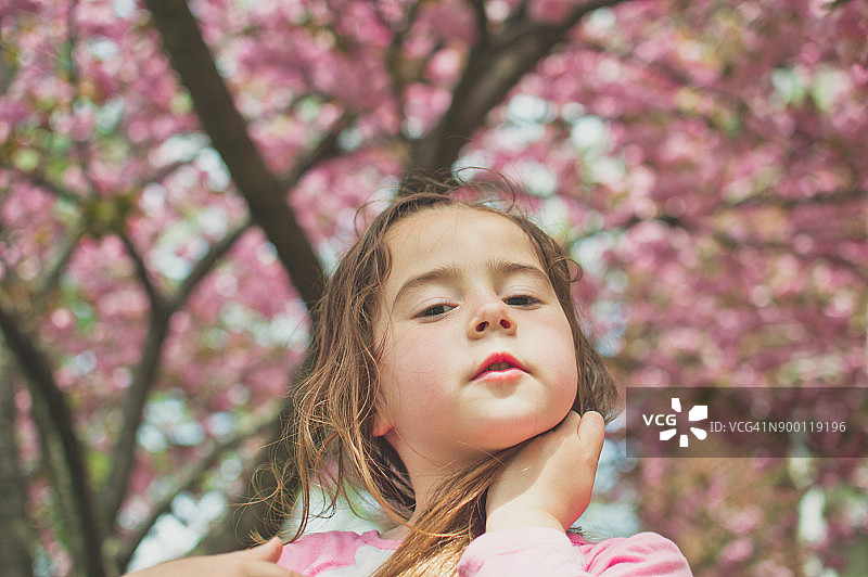 在樱花树前的女孩的肖像图片素材