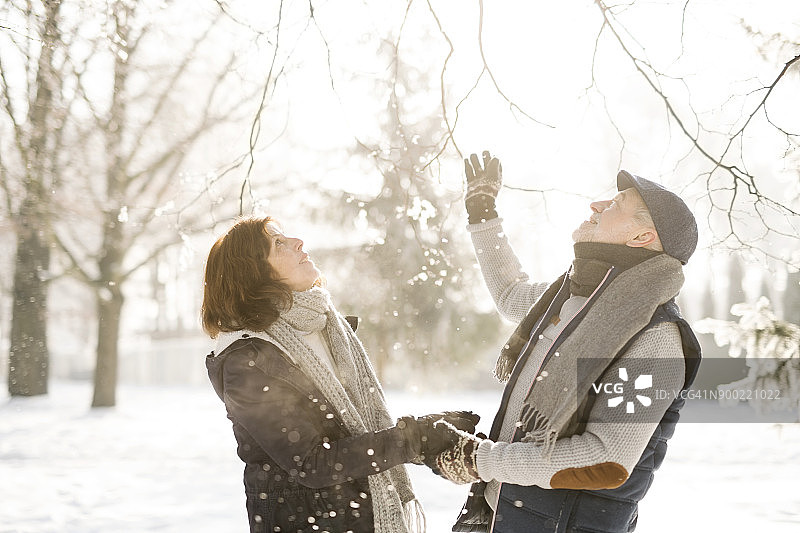 冬季风景中快乐的老年夫妇图片素材