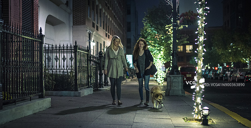 漂亮的白人孕妇和她的青少年妹妹在夜晚的街上遛狗图片素材