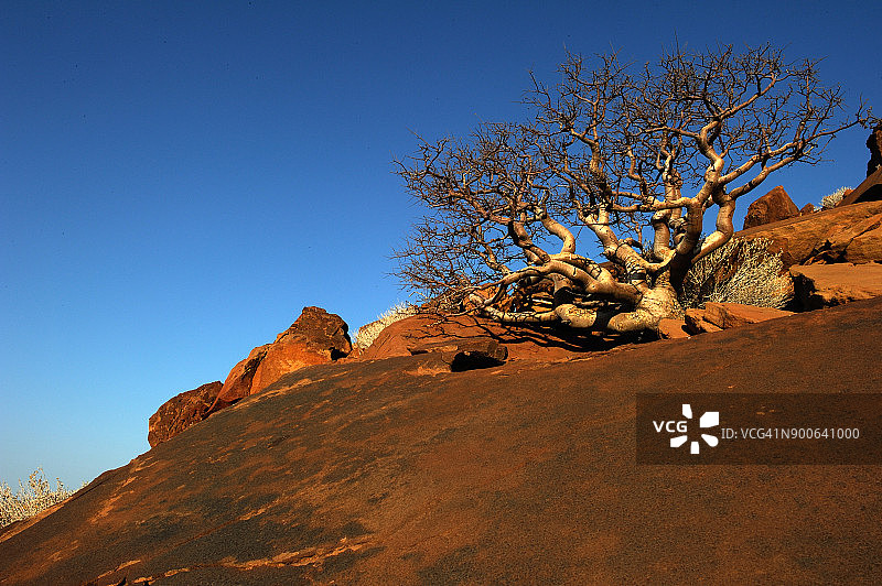 纳米比亚图片素材