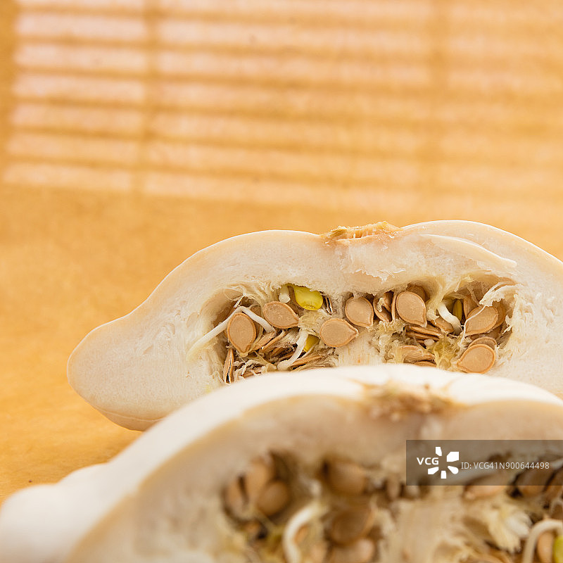 土耳其南瓜横截面图片素材