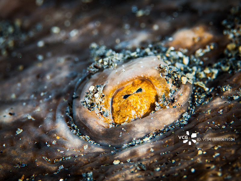 电气之眼图片素材