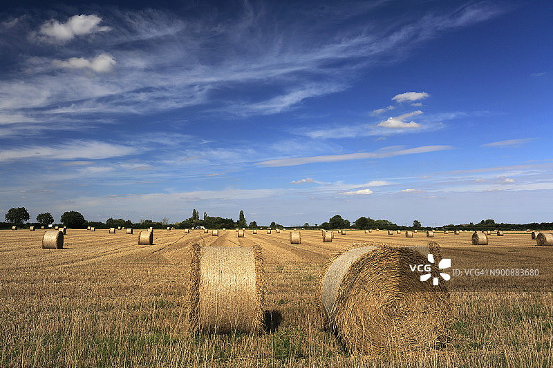 夏季，麦田里的稻草捆图片素材