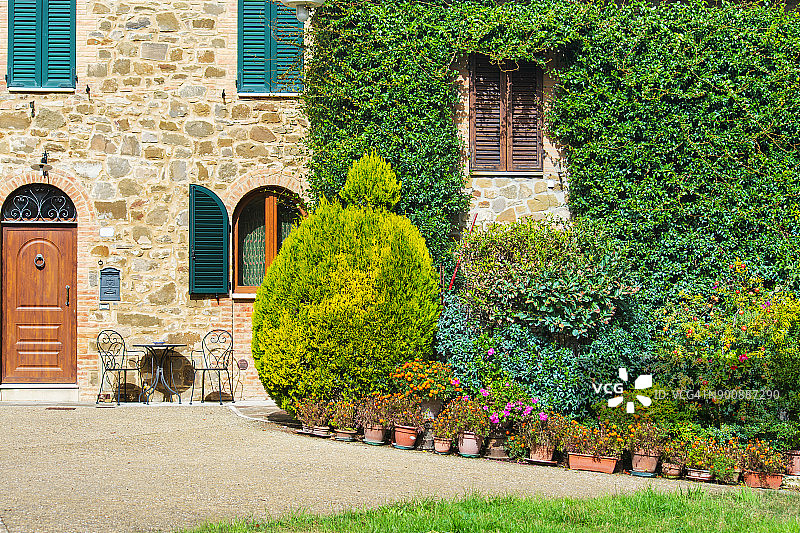 庭院植物图片素材