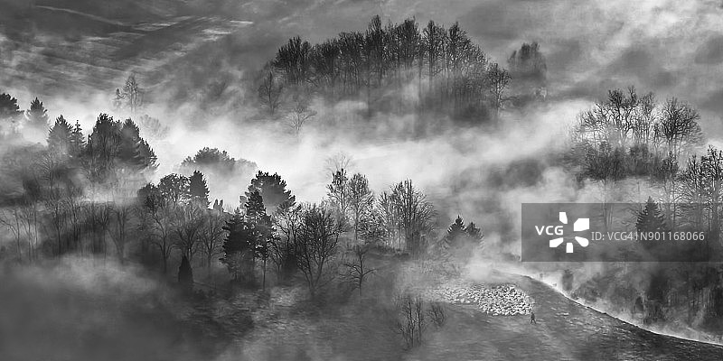 在德国雾蒙蒙的风景中行进的羊群图片素材