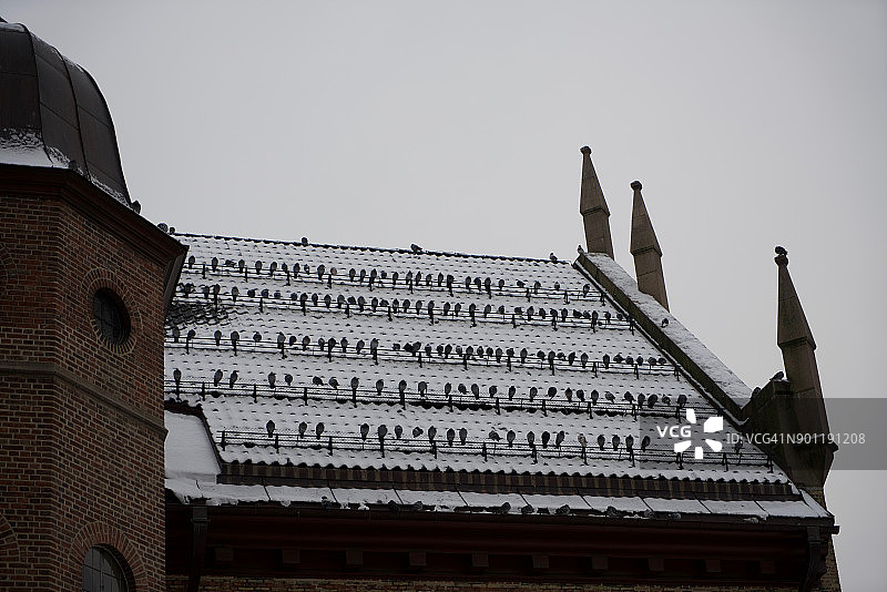 挪威奥斯陆市中心冬季景色图片素材