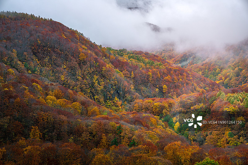 日本青森县八甲田山的秋色图片素材
