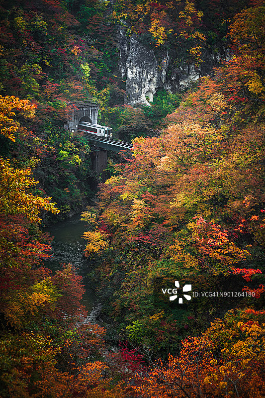 日本仙台鸣子峡的火车出隧道图片素材