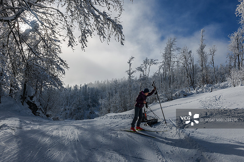 在斯洛文尼亚阿尔卑斯山脉Vojsko高原上越野滑雪的年长妇女图片素材