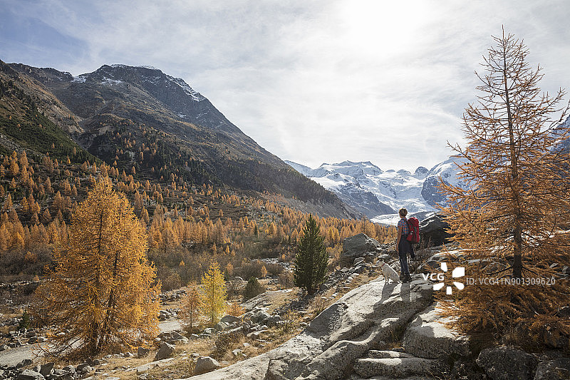独自旅行者和狗在瑞士徒步旅行图片素材