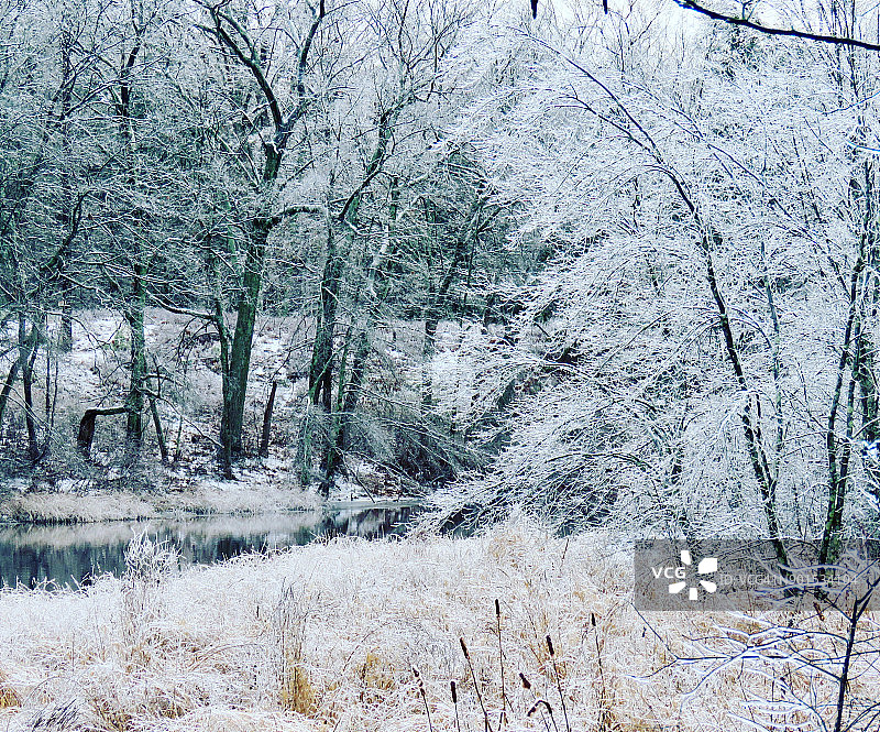 白色的风景图片素材