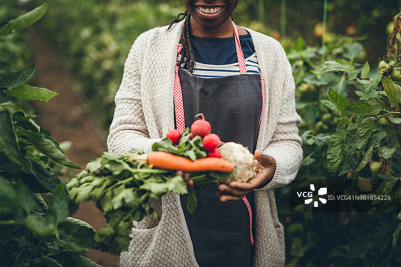 农妇手捧新鲜的有机蔬菜图片素材