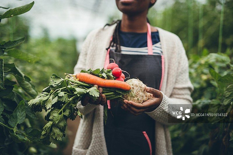 农妇手捧新鲜的有机蔬菜图片素材