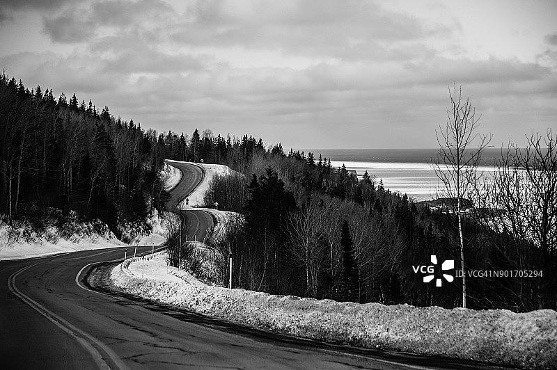 白色风景 - 树林中的蜿蜒道路图片素材