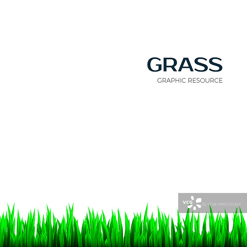 草地纹理写实横幅草本植物边框矢量插画图片素材