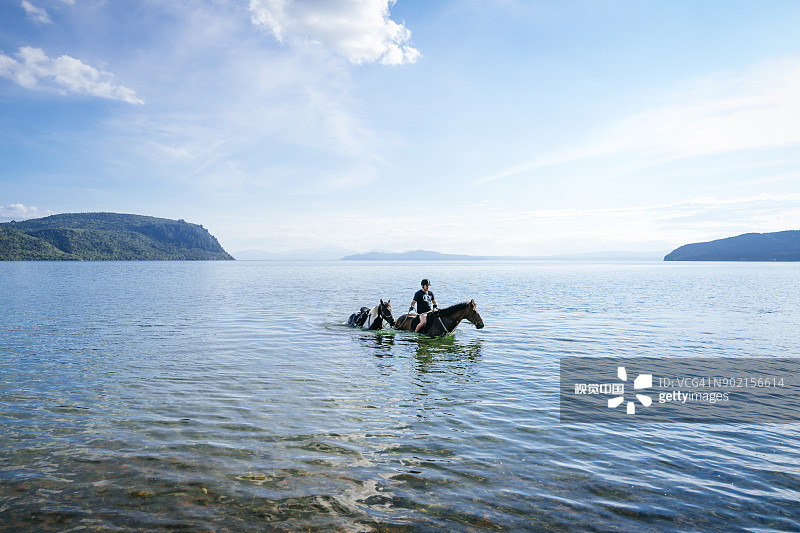 驯马师在陶波湖遛马图片素材