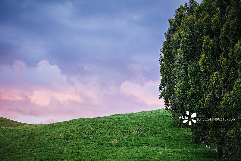 陶波湖附近农田的日落景色图片素材