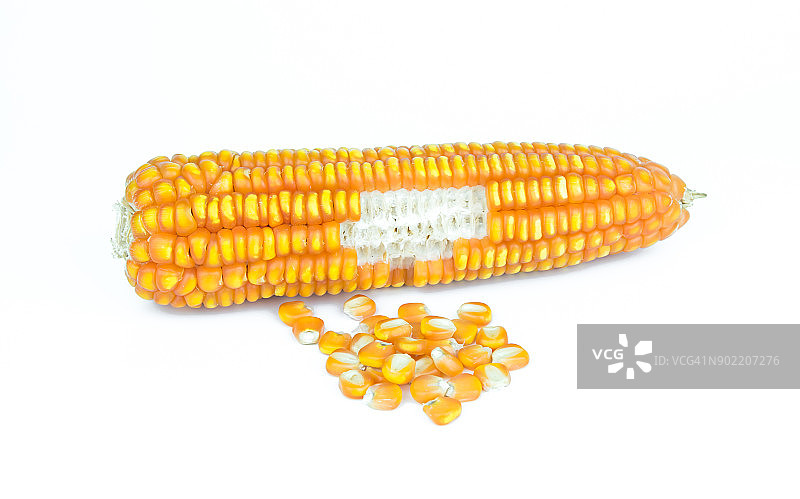 白色背景上的干玉米图片素材