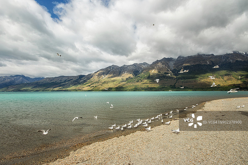 新西兰南岛瓦卡蒂普湖北部格林诺奇图片素材