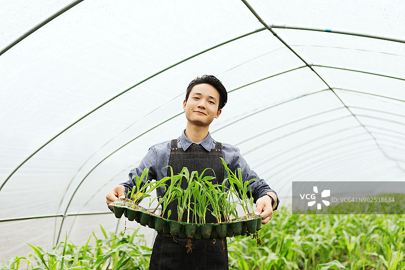 男人拿着秧苗盘，中国图片素材