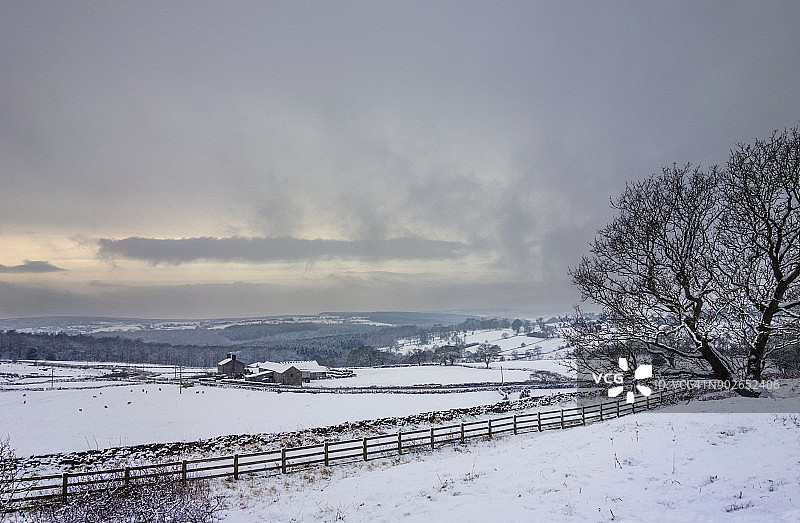 雪地乐趣图片素材