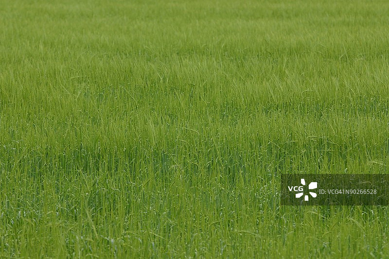 24072013图片素材