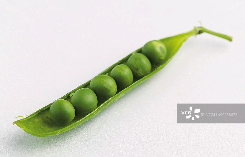 豌豆荚图片素材