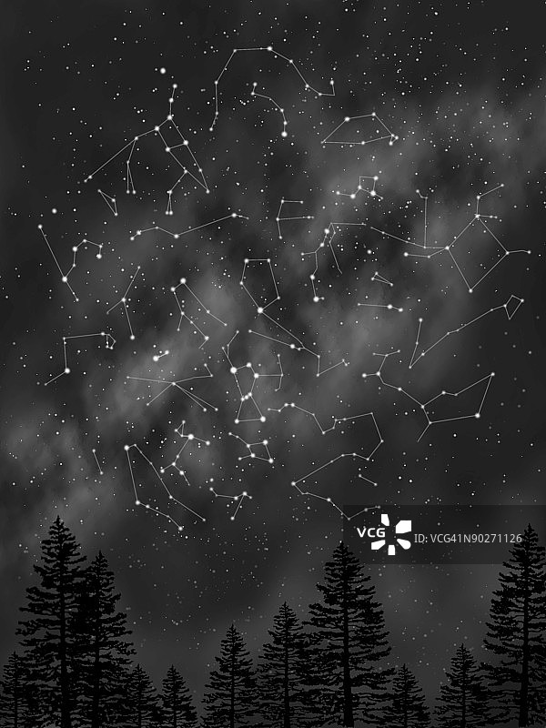 夜空中树木轮廓的低角度视图图片素材