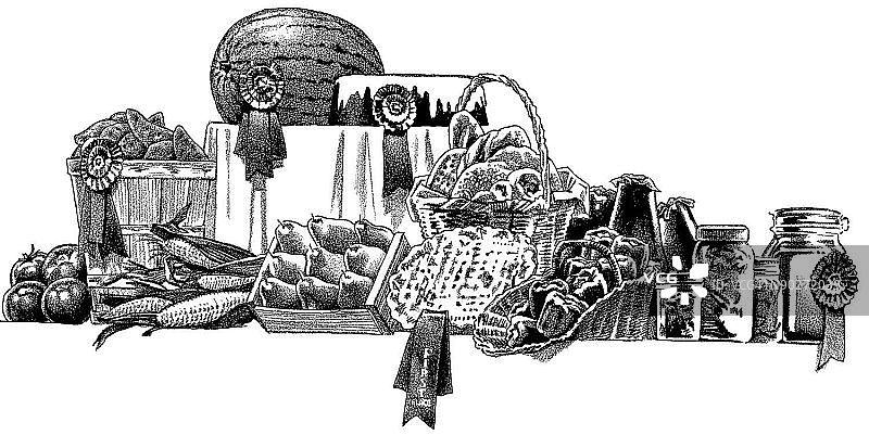 LiquidLibrary图片素材