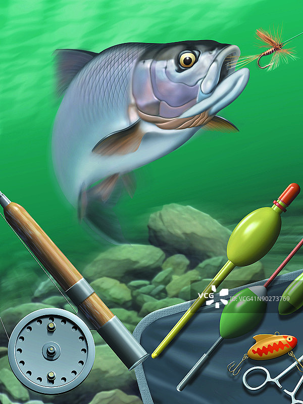 鱼在水中游泳的特写镜头图片素材